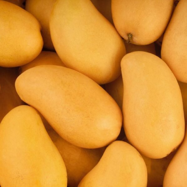 Premium Mango Anwar Ratol - 5KG Gift Pack