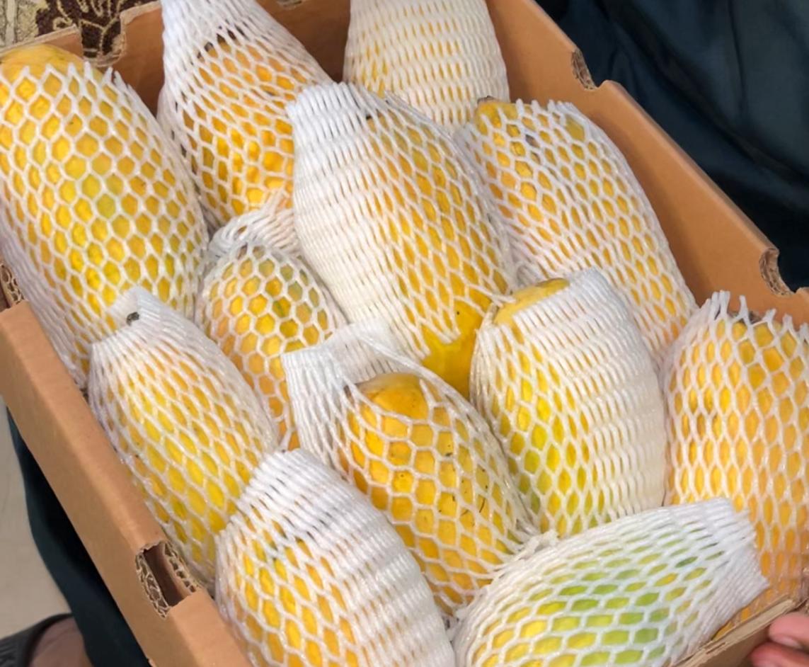 Premium Chaunsa Mango ( White ) - 5Kg Gift Pack