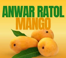 Premium Mango Anwar Ratol - 5KG Gift Pack
