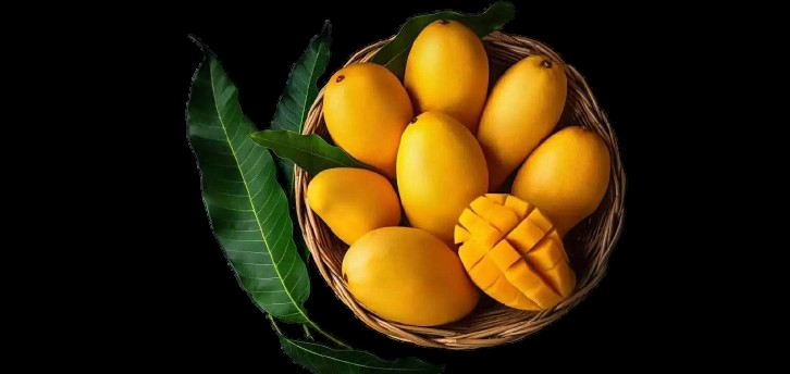 Premium Mango Anwar Ratol - 5KG Gift Pack