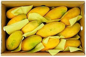 Premium Mango Dasheri - 5Kg Gift Pack