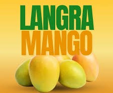 Premium Langra Mango - 5Kg Gift Pack